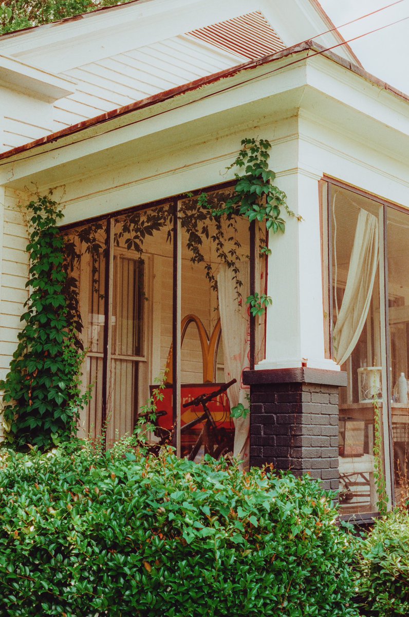 Kelsey Smith 💛🎞️ tweet media