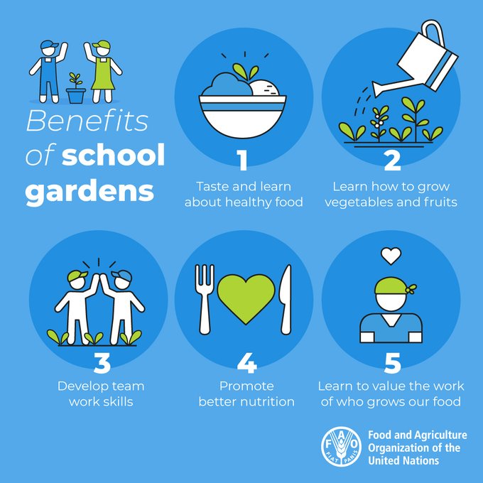 School gardens are a great way to teach children about healthy eating! 🌱🍏🍅🥕 

5⃣ benefits of school gardens ahead of #EducationDay👇 

#SchoolMealsforAll 

via @ippcnews