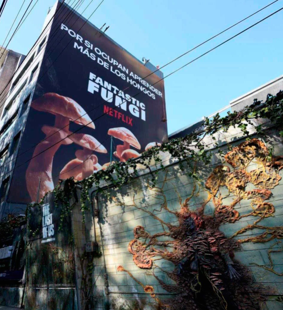 I see what you did there <a href="/NetflixLAT/">Netflix Latinoamérica</a>