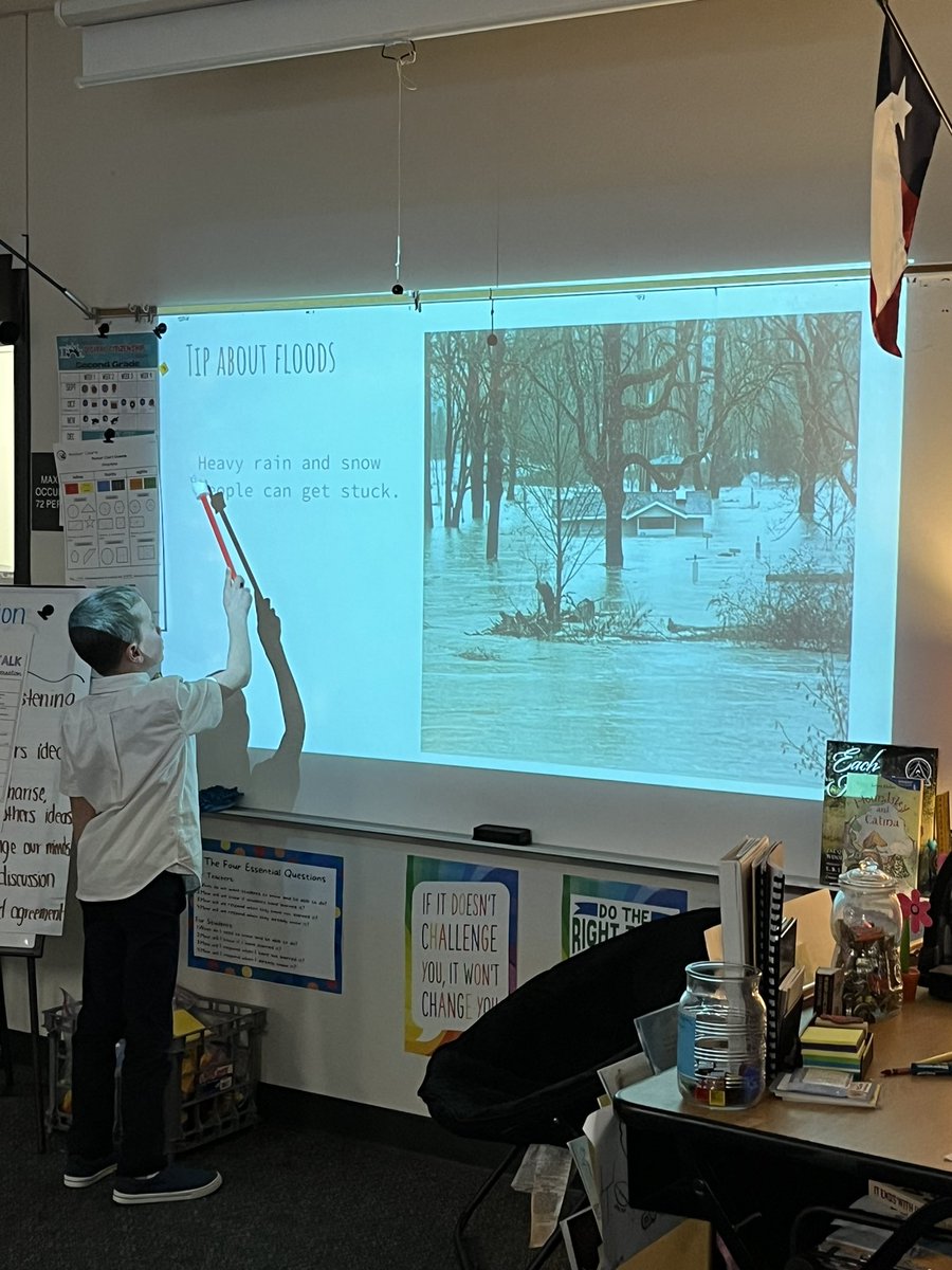 Natasha Stevenson tweet media