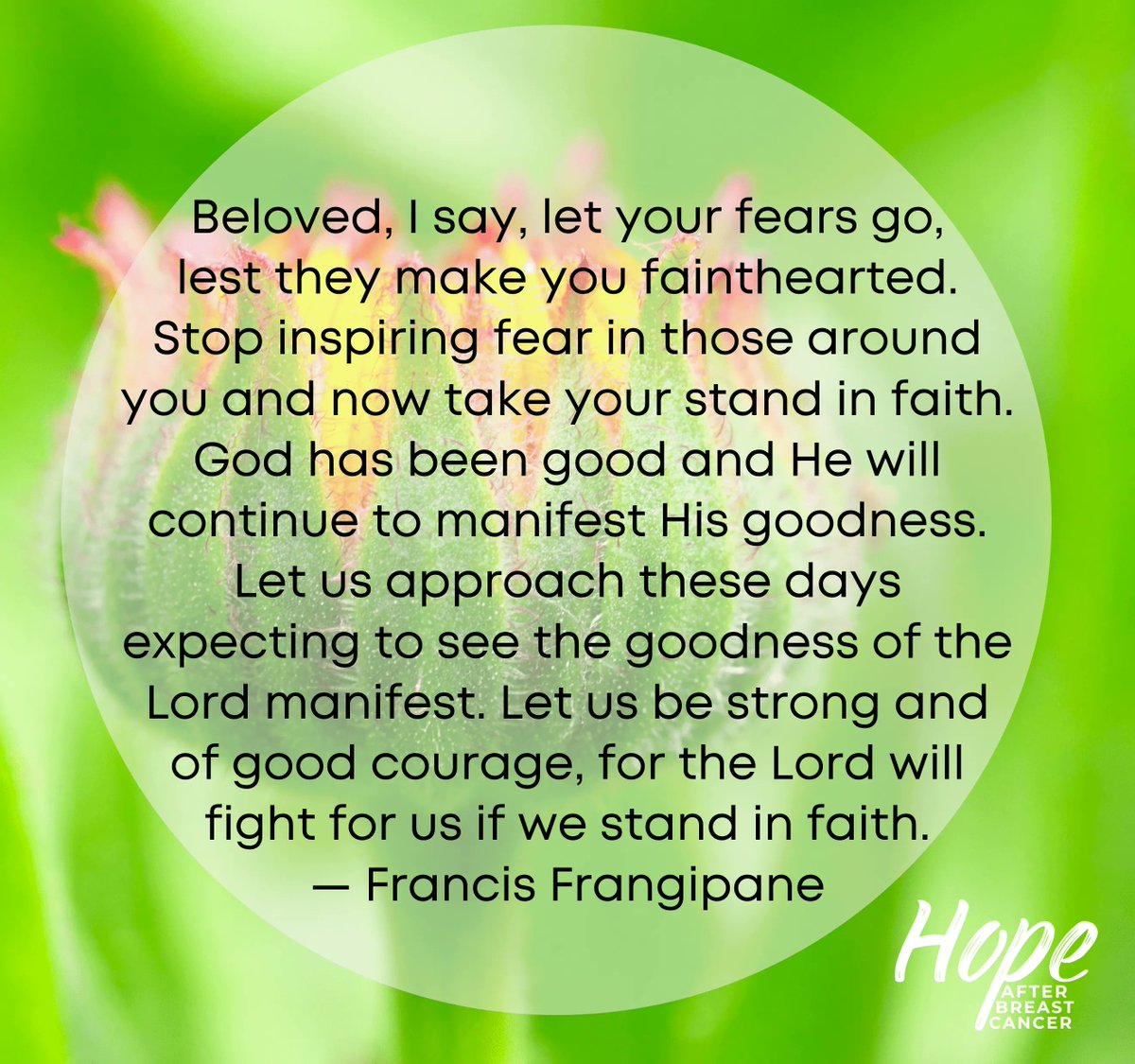 HopeAfterBC tweet picture