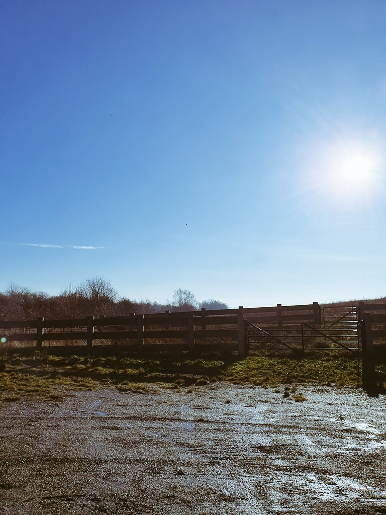 Miss. Bend tweet media