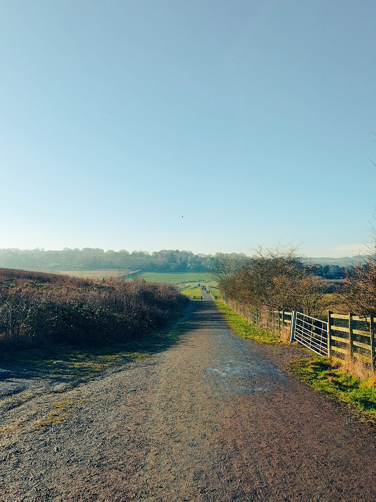 Miss. Bend tweet media