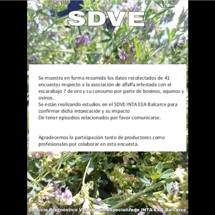 SDVEBalcarce's tweet photo. https://t.co/p633SN1G5o