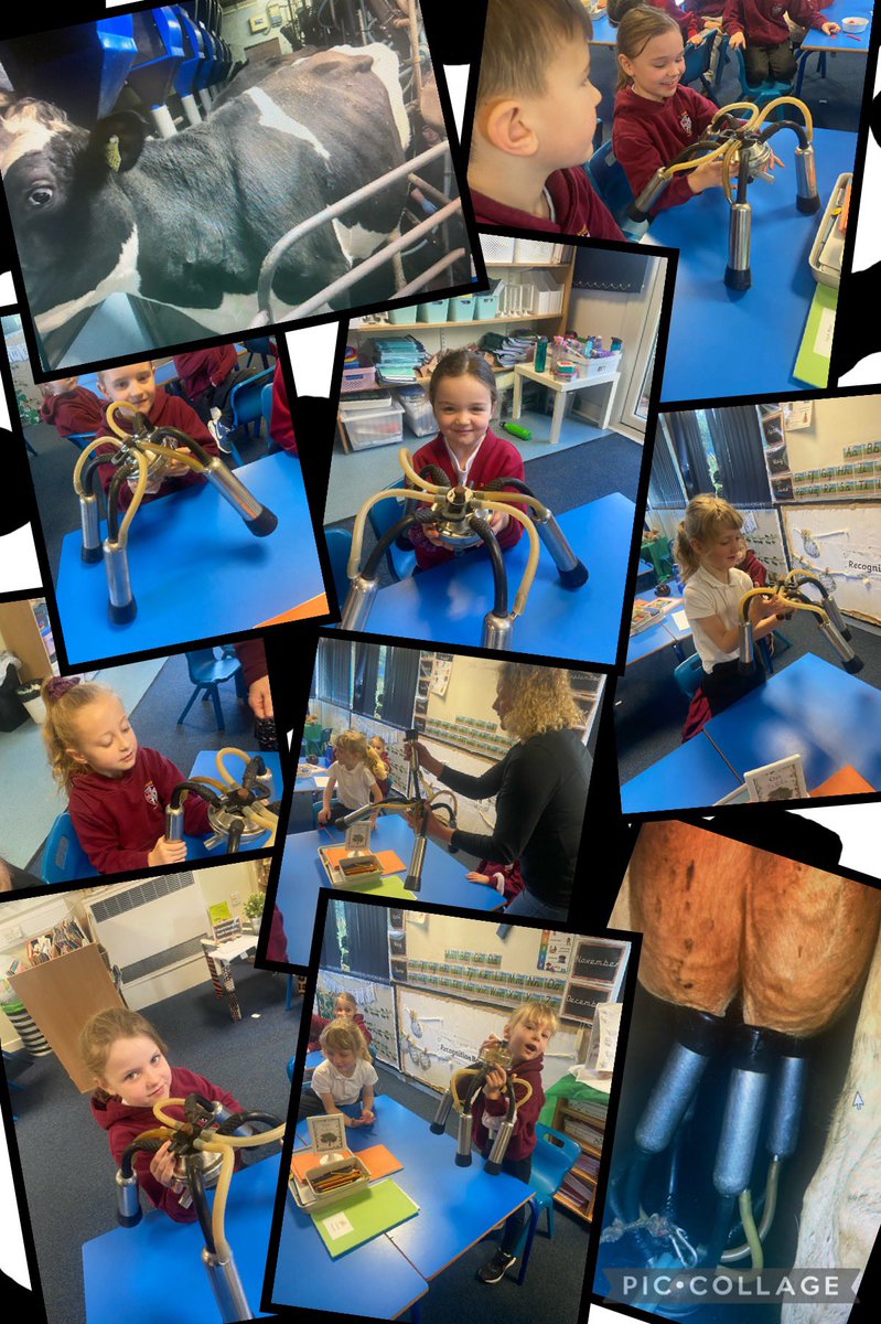 Year 2 with Miss J tweet media