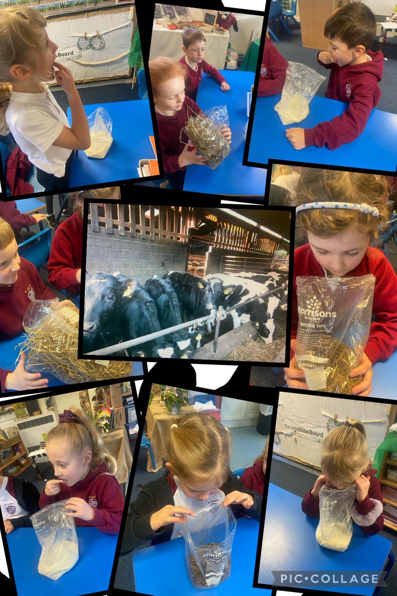 Year 2 with Miss J tweet media