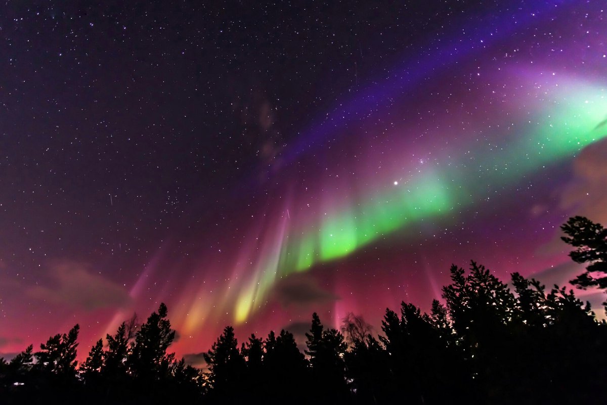 AngryTheInch's tweet photo. Remembering the night when I first witnessed the mesmerizing and rare blue aurora. https://t.co/cjg21QM4NA