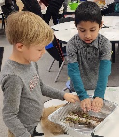 Hello CBEA Community!👋Have you been #curious about what we've been up to? Over the last few weeks,  kids improved their #entrepreneurialskills & #mindsets with a 7 Mindsets challenge, a 'Mission to Mars' with our 2nd and 3rd, and building beaver dams in Kindergarten!🚀