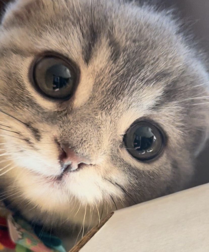 h  hew l o     is  .    anyonoen      there