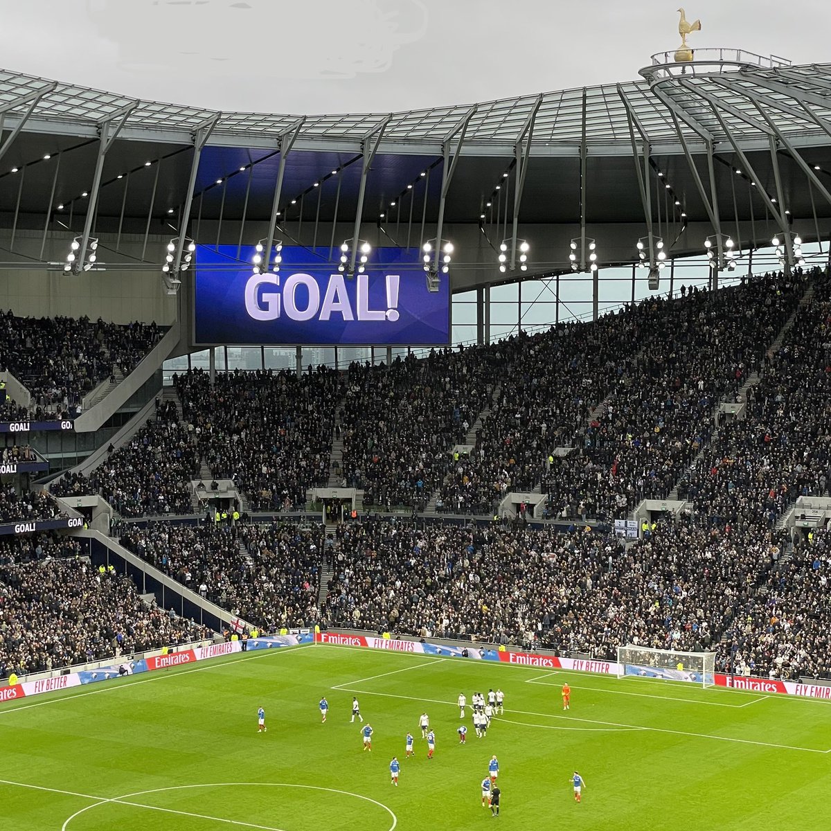 Rodney Kingston tweet media