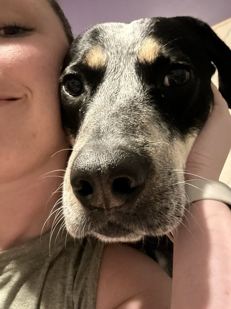 MadisonBerrong's tweet photo. @Chewy https://t.co/k4iIS96f0a