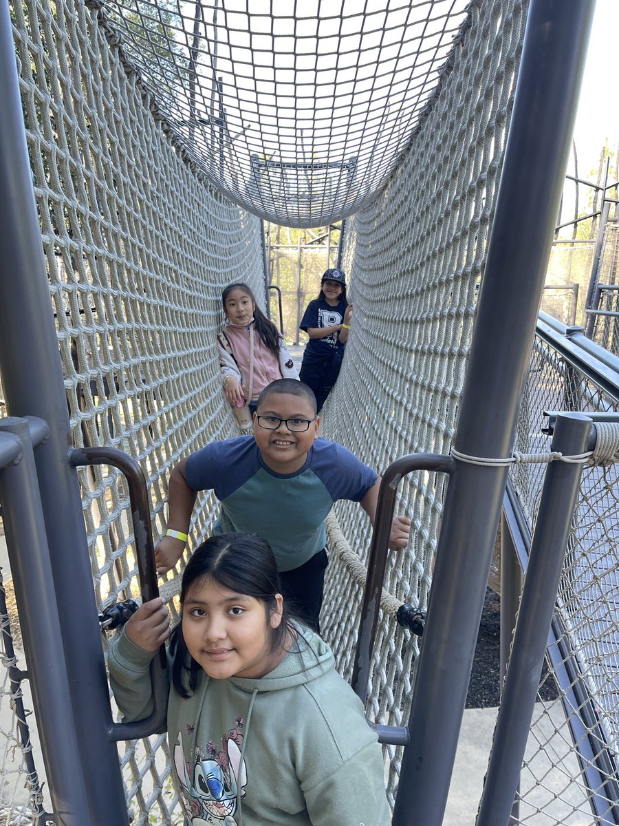 Tesla Silvers tweet media