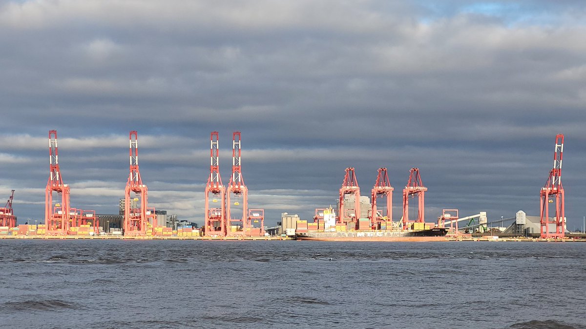 The 'Red 🦒🦒🦒🦒Giraffes ' on Liverpool Docks  @PeelLivWaters
 looking good in the afternoon #WinterSunshine ⛅️
#WinterVibes 
@CloudAppSoc 
@StormHour 
@PicsOfLpool 
@Beau_Liverpool 
@Wirral_Weather 
@RNLINewBrighton