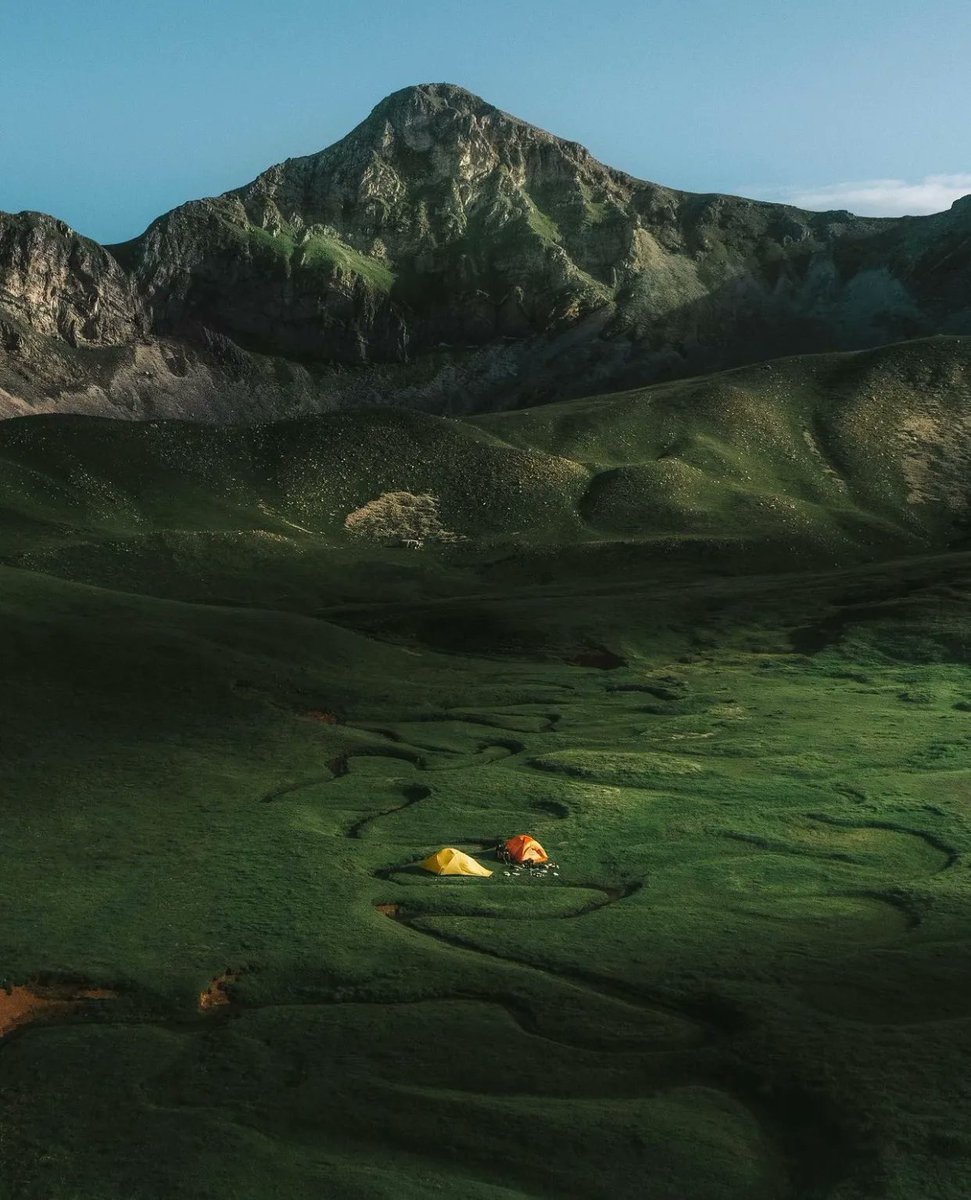 𝑵𝒂𝒕𝒖𝒓𝒆 🍃 tweet media