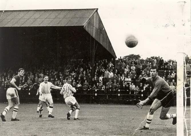 1885Dunfermline's tweet photo. Alex Ferguson

The Pars signed him in the summer of 1964 from St Johnstone, and he went on to be top goalscorer during the 1965/66 season with a total of 45 goals in all competitions, a clinical striker and a True Par 

1964-1967
Apps: 89 
Goals: 66 https://t.co/AHqgcpluSd