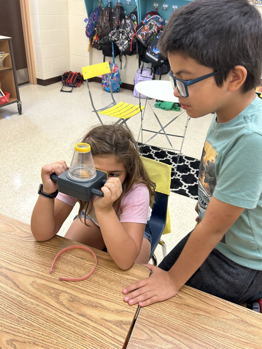 MrsTwar's tweet photo. The kids loved the presentation from Mosquito Control! A super fun way to learn about life cycles! Thank you! 🔄🦟@collierschools @pmepelicans @CollierMosquito https://t.co/Evv3KQ2Mg9