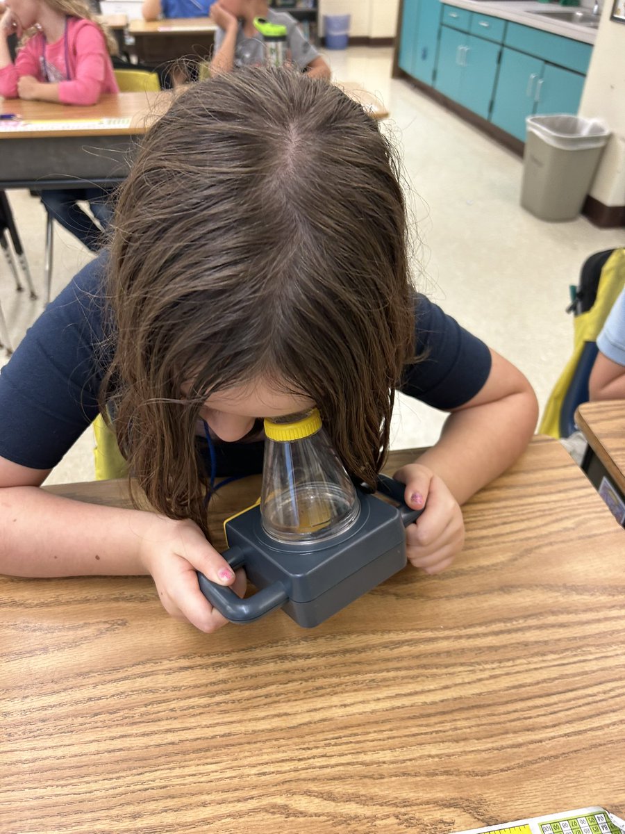 MrsTwar's tweet photo. The kids loved the presentation from Mosquito Control! A super fun way to learn about life cycles! Thank you! 🔄🦟@collierschools @pmepelicans @CollierMosquito https://t.co/Evv3KQ2Mg9