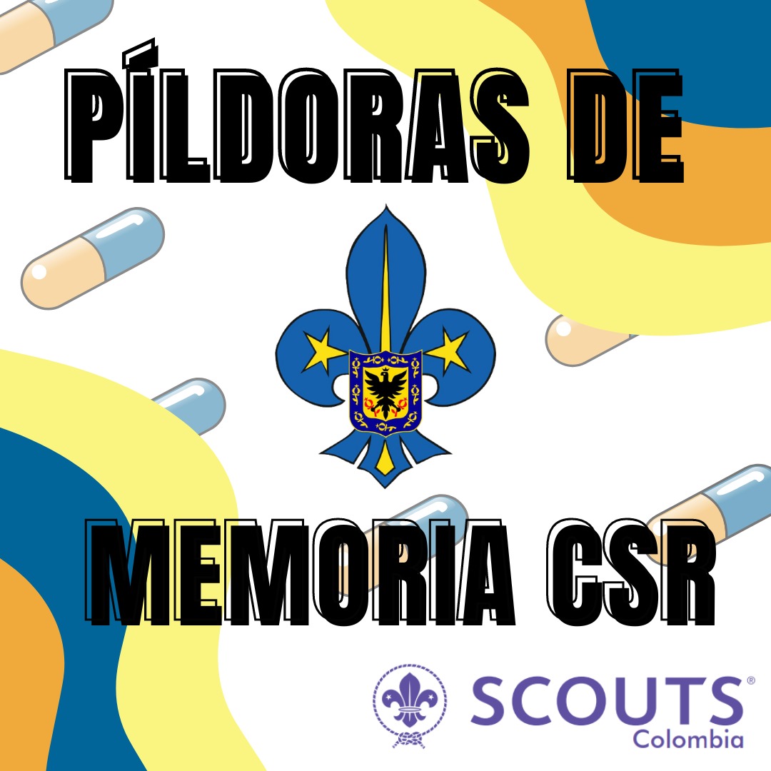 Scouts de Bogotá tweet media