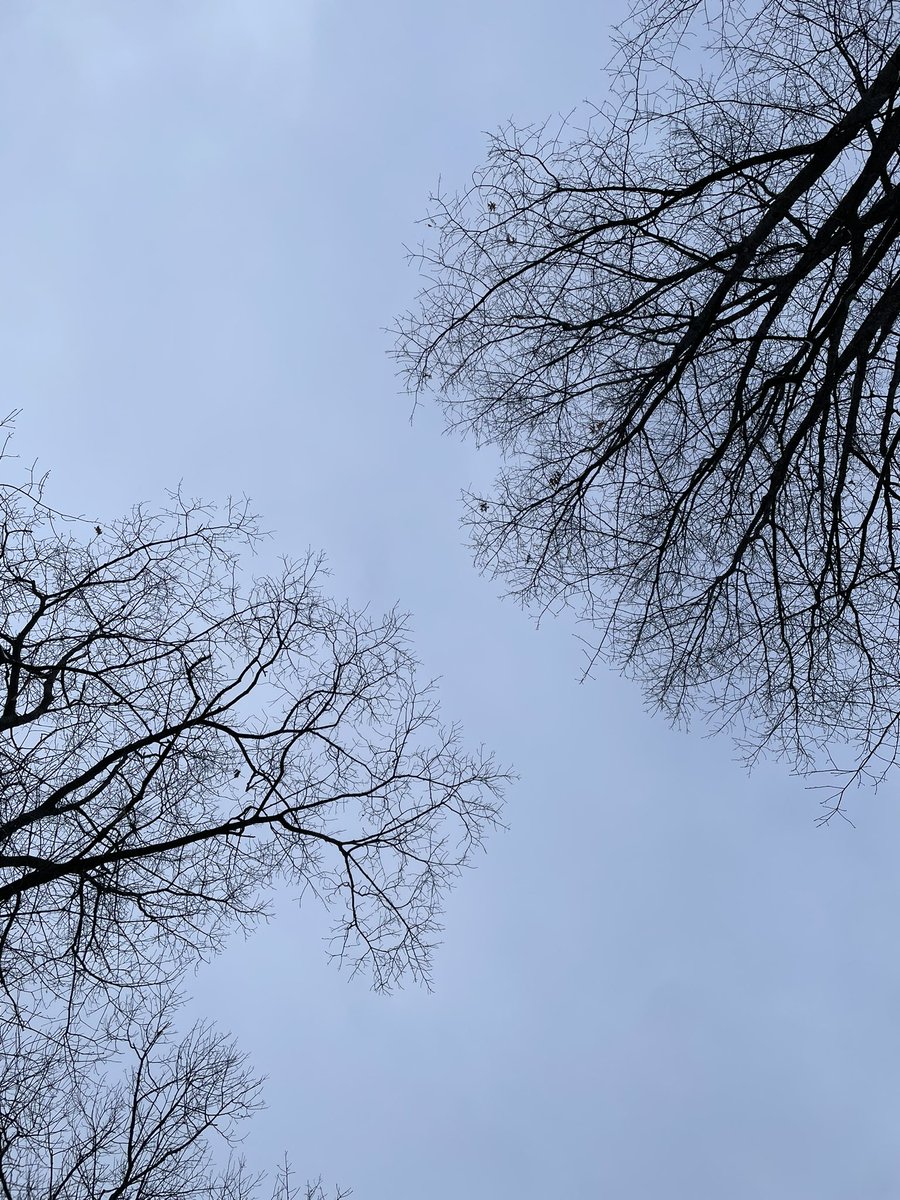 mhspeaker's tweet image. Walking my talk! I made a ❄️ Angel! I don’t recall even being taught how to get up from making a snow Angel 😂🤣! #SelfCare #WhatBringsMeJoy #Invigorating #ClothesNowInDryer #HonourMyWordToMyself