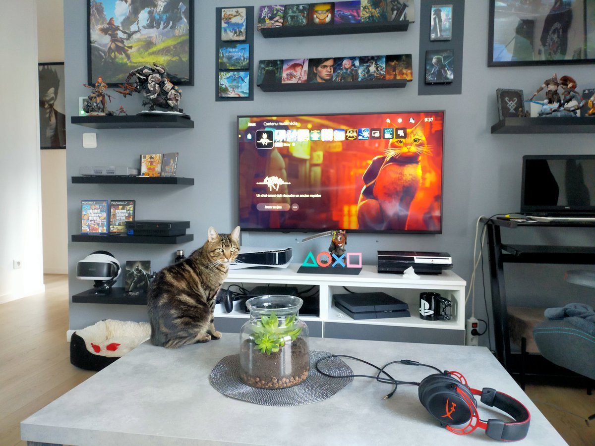 Hairgame tweet media