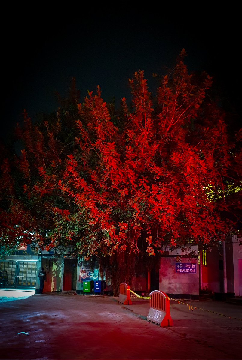 tanyarao_'s tweet photo. Exams and night strolls go hand in hand when u need a chai/coffee refill🤌🏻
And you fell in love, with your college, again and again....
#photooftheday #exam_update https://t.co/vQi6yZatPn