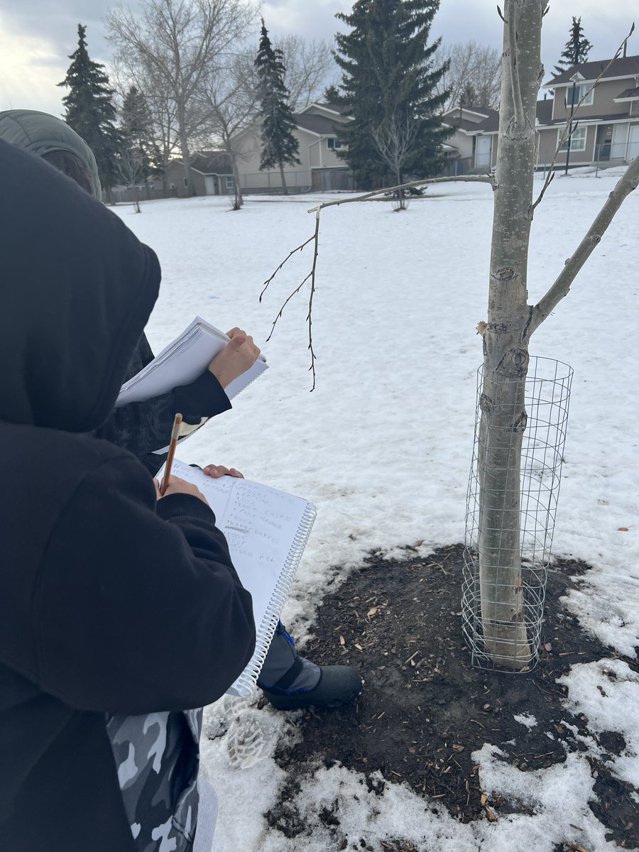 DHS Paterson tweet media