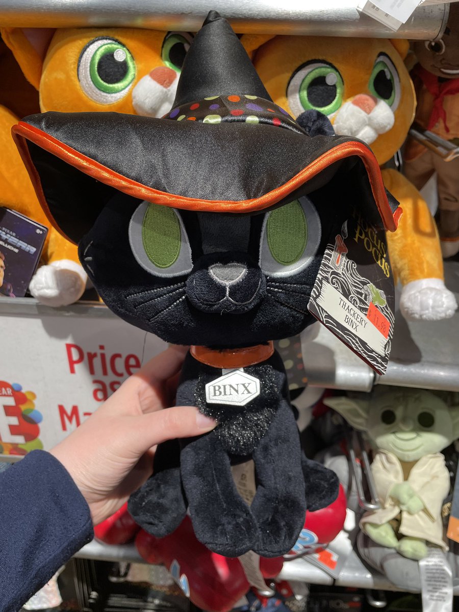 Tiara_Princess7's tweet photo. I bought Binx #cat #disney #disneyhocuspocus #hocuspocus #hocuspocus2 https://t.co/k5XocAaipE