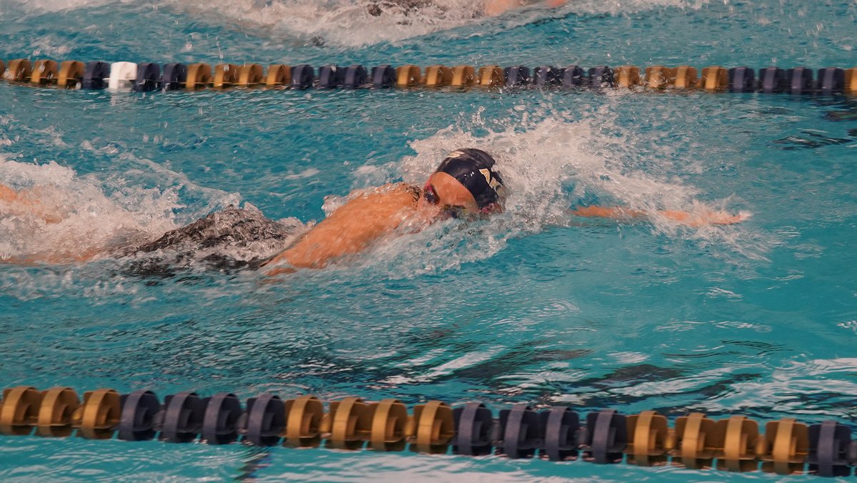 💦Akron <a href="/ZipsWSD/">Akron Zips Swimming & Diving</a> Travels to Notre Dame for Tim Welsh Classic #GoZips

Preview👉 bit.ly/3Y2Sfe0