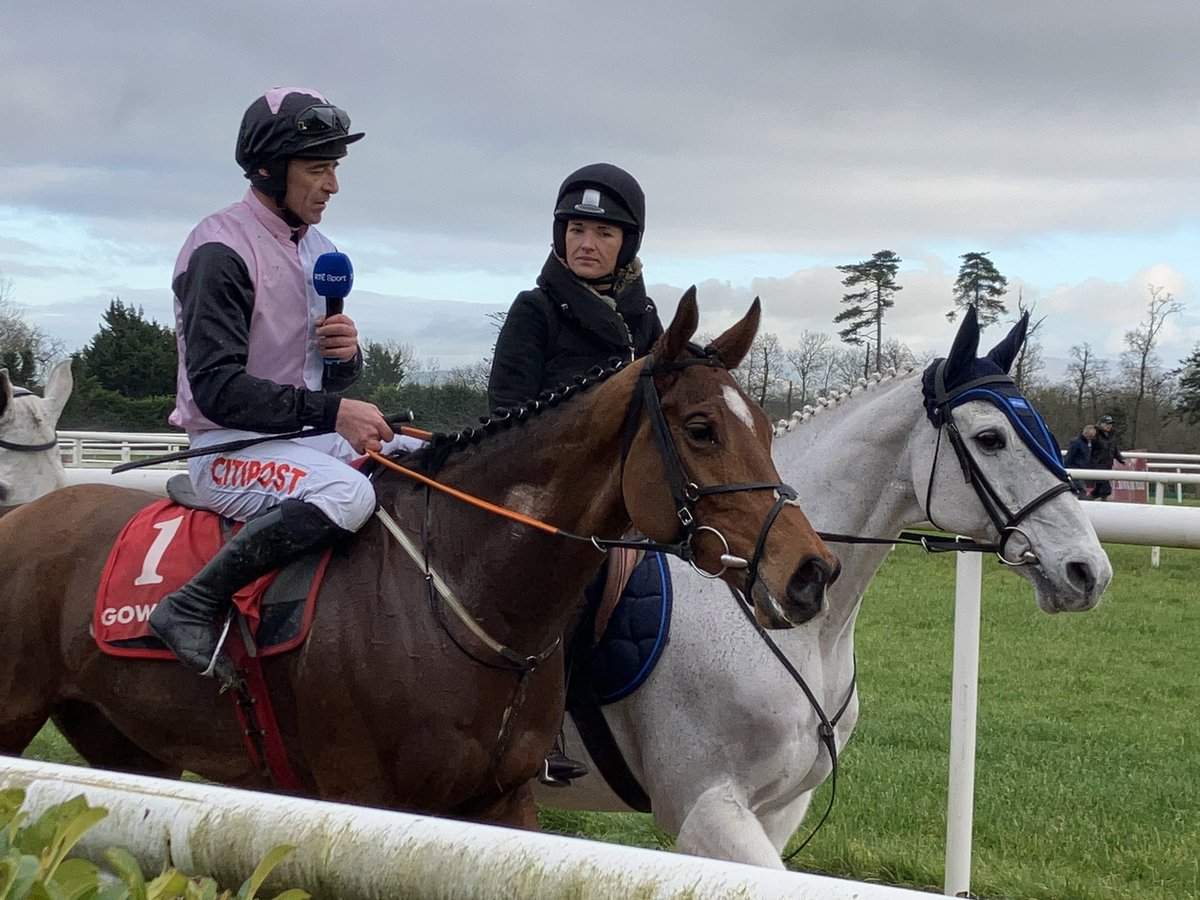 claire_goodad's tweet photo. Two horses, two riders and all of them cool as a breeze @GowranPark1 #ThyestesDay https://t.co/Ca46Ct1oRI