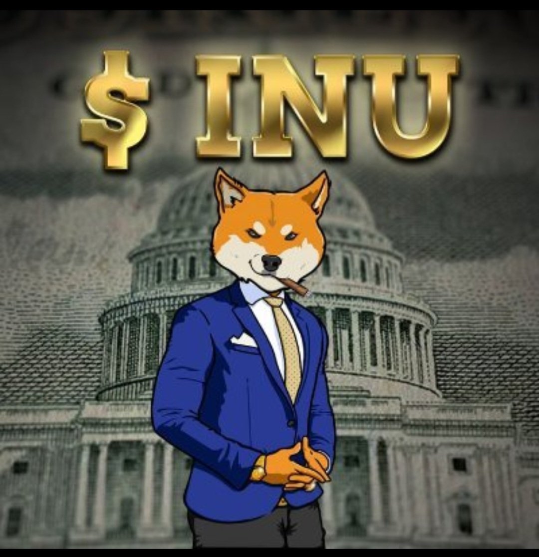 Dollar Inu tweet media