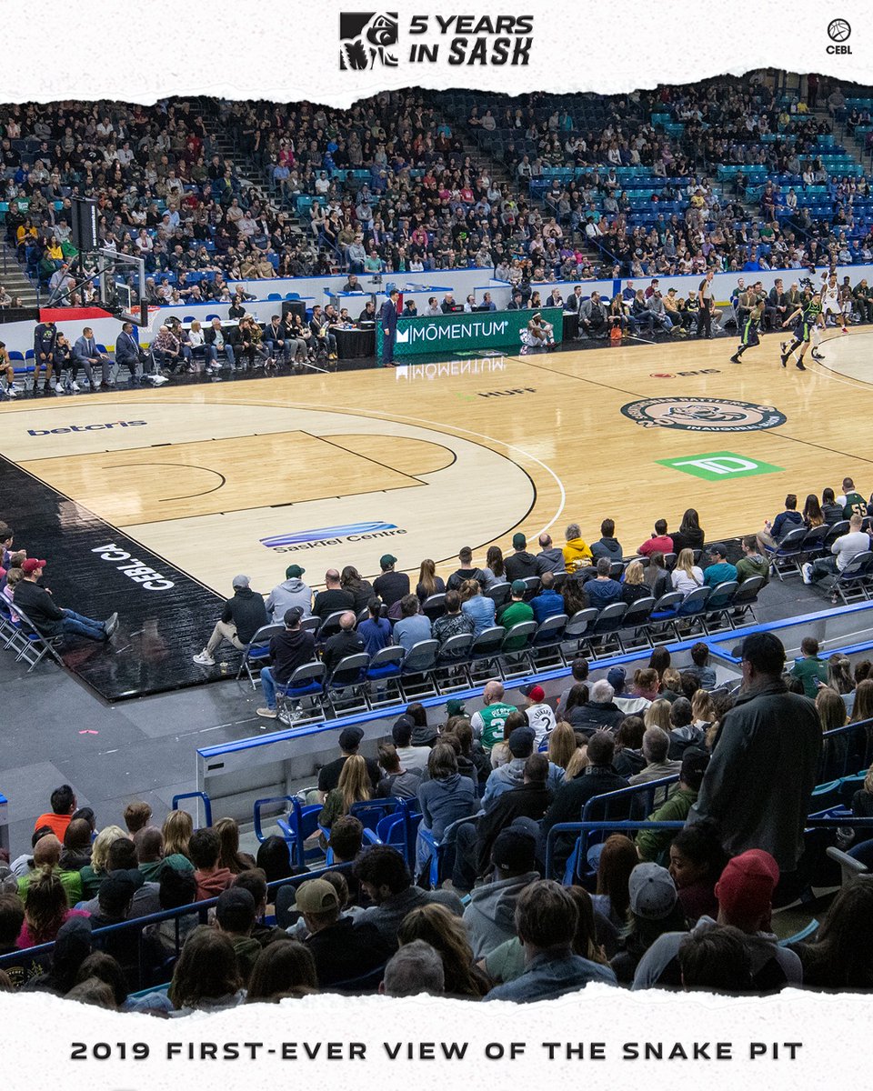 saskatoonmamba's tweet photo. #5YearsInSask 📸⁣⁣⁣⁣⁣
⁣⁣⁣⁣⁣⁣
#FearTheFang | #LetsBall https://t.co/fEbHao6bFn