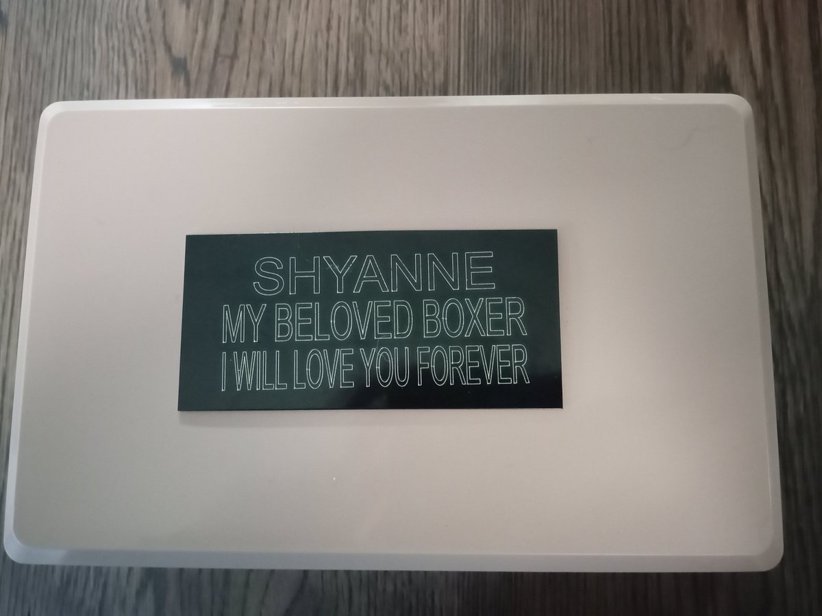 #Shyanne came home today 🙏😥🐕🐾🐾 #petsoftwitter #petscorner #petsarefamily #dogsofinstagram #ShyanneForever #dogcommunity #boxerdogs