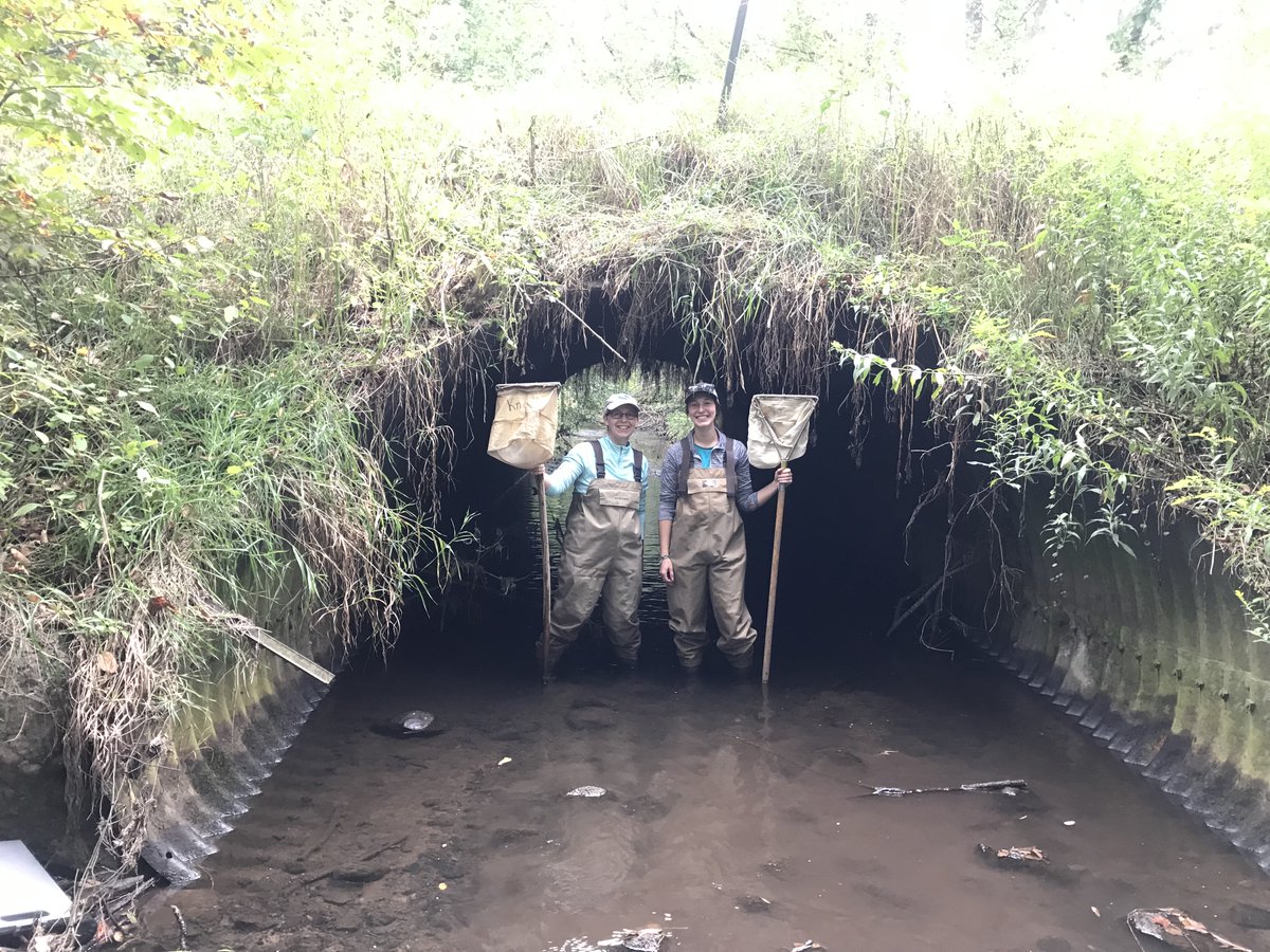 MichiganEGLE's tweet image. Every day is #FunAtWorkDay when you get to protect this beautiful state’s environment and public health! #TeamEGLE