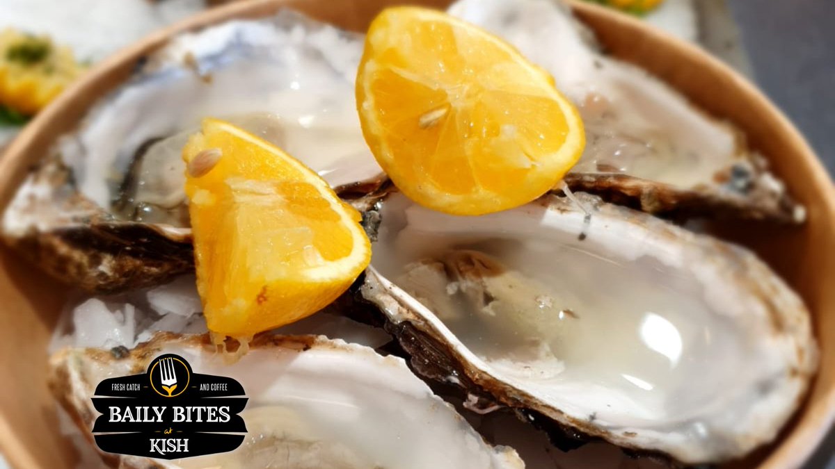 Freshly shucked Irish oysters with a drop of lemon 🦪🍋
A tasty option for lunch on the pier today in Howth

Stop for Fresh oysters & more

#oysters #irishoysters #shellfish #freshcatchandcoffee #bailybites #kishfish #bailyandkish #howthharbour #howthcliffwalk #carlingfordoysters