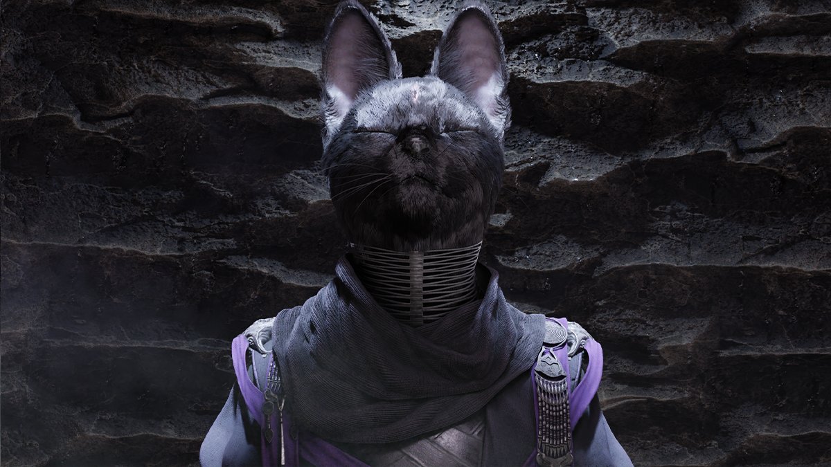 ACS_Games's tweet photo. WANT TO TOUCHHHH 🤩

#catsoftwitter #indiegames #gamedev #indiedev https://t.co/K8e8CU3ODe