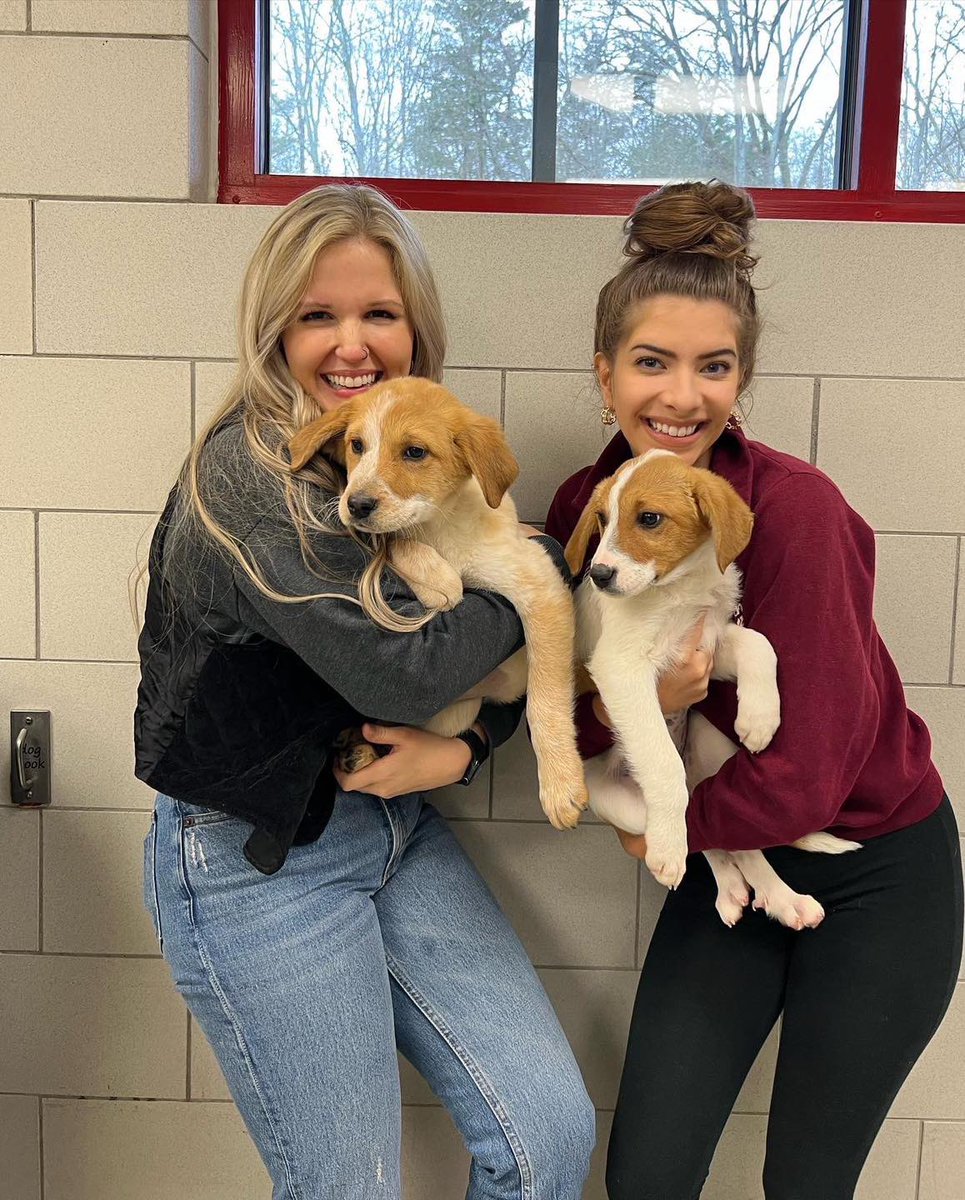 nashvillehumane's tweet photo. Love love love that @AmandaTerranova and @OnAirWithEryn met their @hot1067 namesake pups today at NHA! https://t.co/ebkbouk2LE