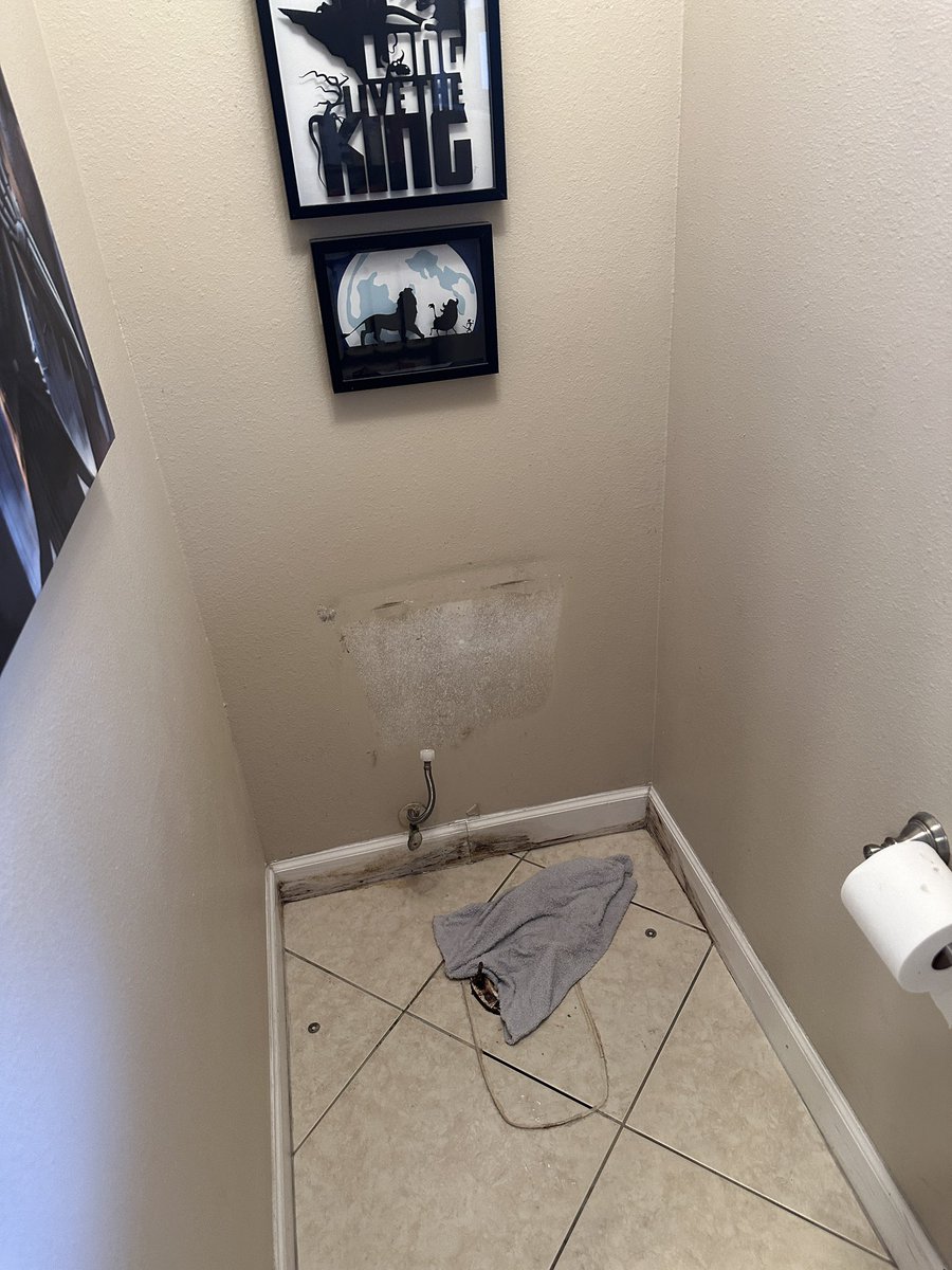 Alex Jebailey tweet media