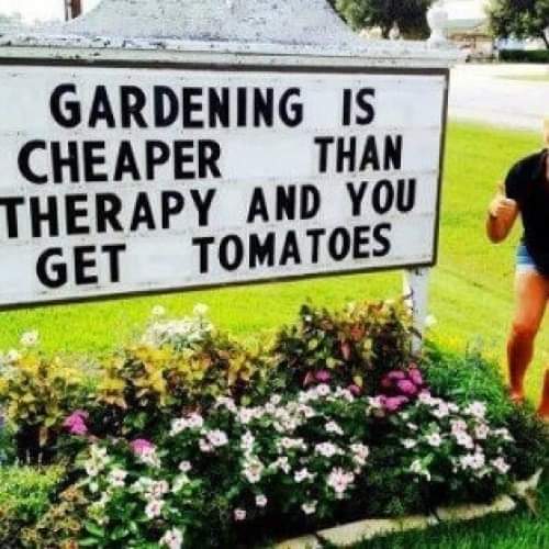 I love gardening and could quite agree, I got a lot more than tomatoes 🦋🙏
Do you have contact with nature?
#nature  #therapy #CBT #holisticcoaching  #healthblog