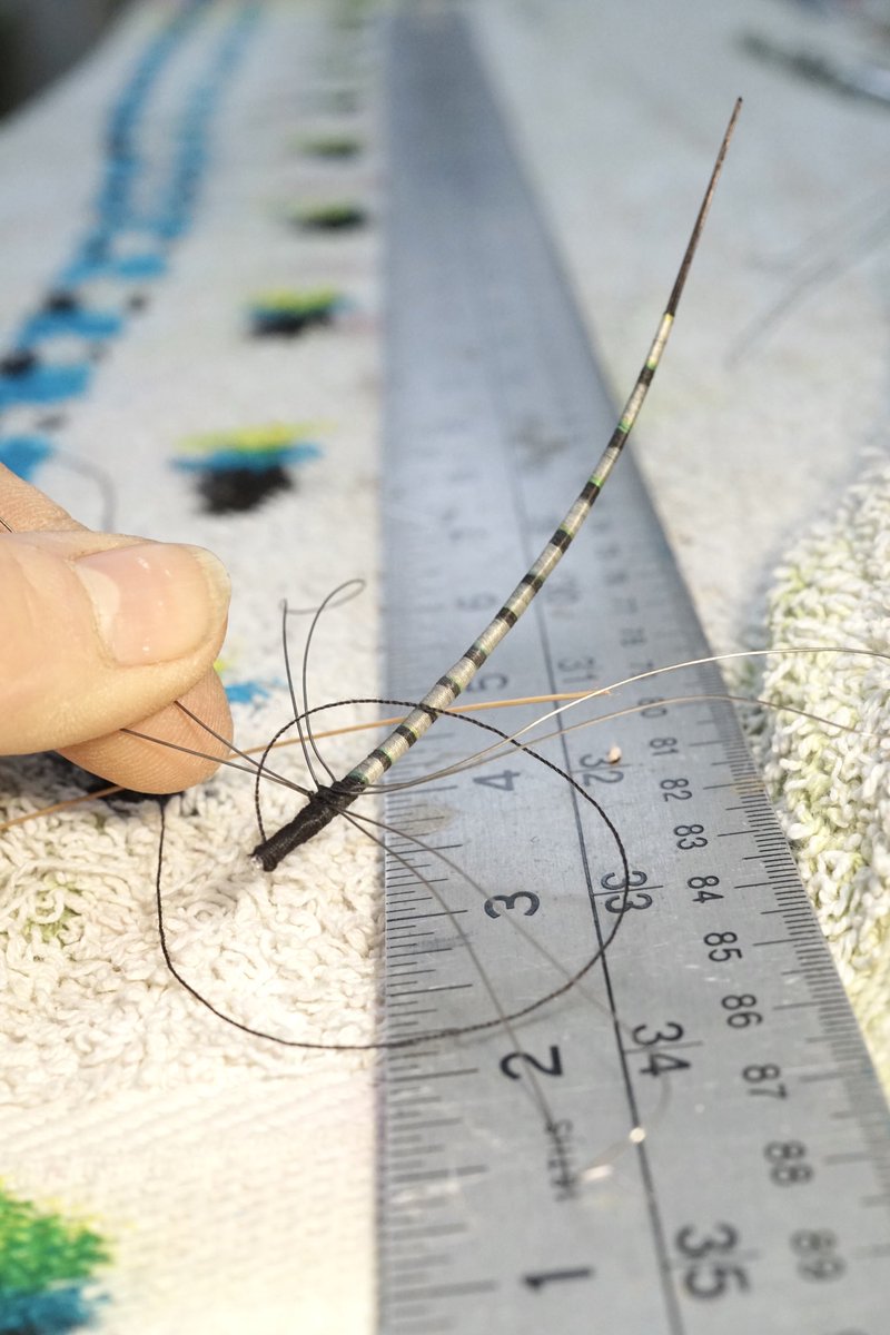 Bridget Bailey tweet media