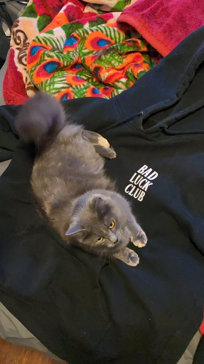 davidtraan's tweet photo. the universe has a funny way of working. this is the hoodie i wore today https://t.co/Ec5jK7aRw6