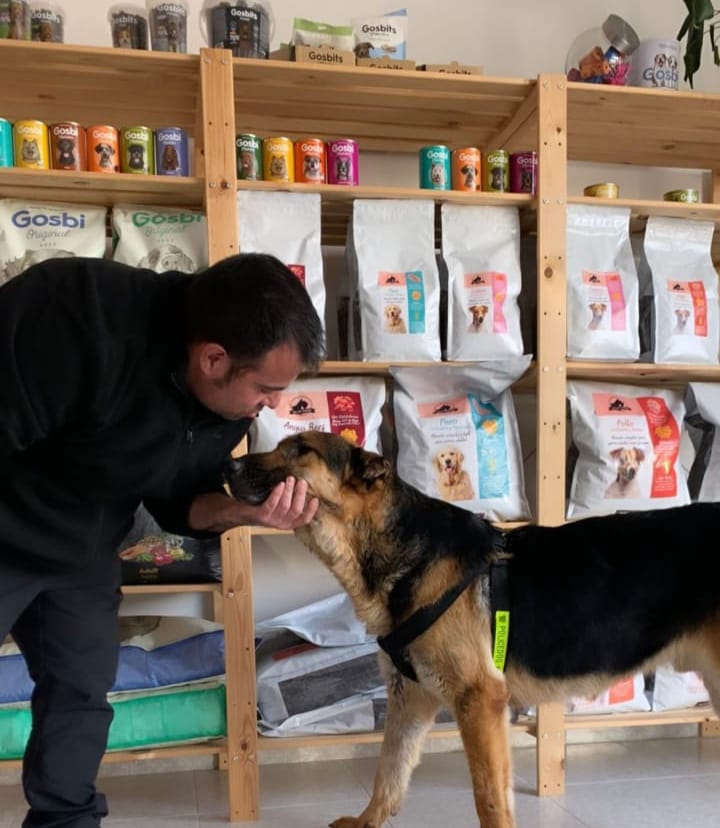 SilviaMylo's tweet photo. Os acordáis del perrito del Puerto de Santa Maria, Cádiz que su dueño murió estuvo dos semanas en la calle sin comer y pegándole la gente para terminar en la perrera?
Pues ha sido.. ADOPTADOOOO ‼️
ADOPTADOOOO ‼️
BIENNNN‼️
BIENNNN‼️
♥️ ♥️ ♥️ ♥️ ♥️ ♥️ ♥️ ♥️ ♥️ ♥️ ♥️ ♥️ ♥️ ♥️ ♥️ ♥️ https://t.co/aSuBzxKneV