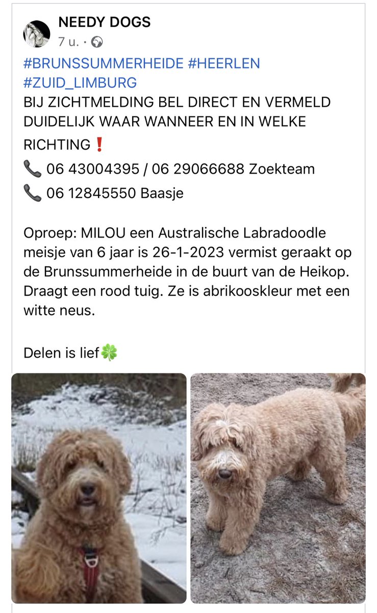 Het zusje van Bas is vermist. Mocht iemand haar zien, graag bellen met onderstaand nummer.