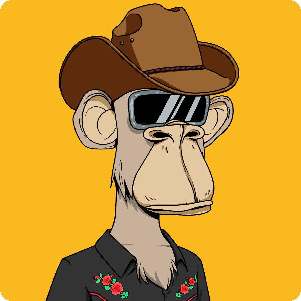 TSF 🤠 tweet media