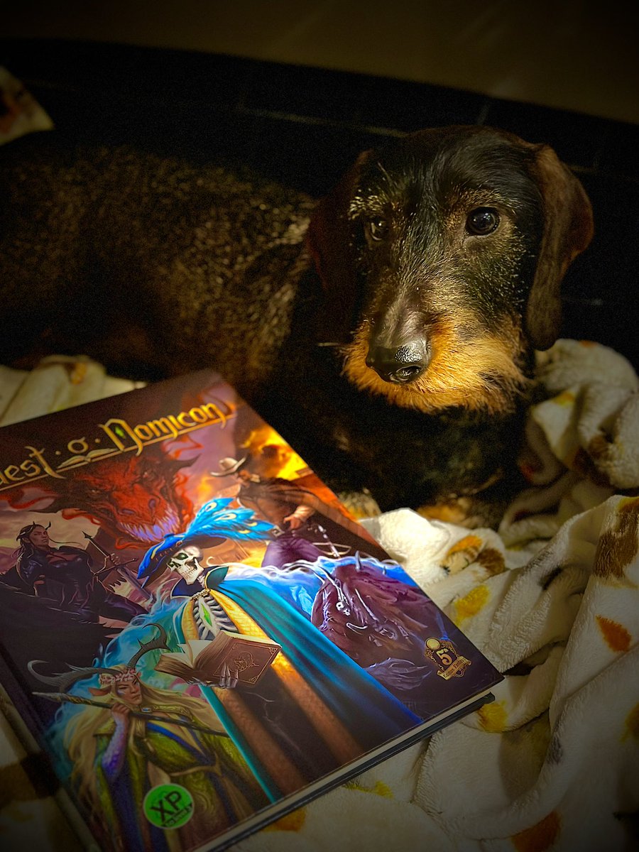DachshundMaster's tweet photo. Look what arrived in the post today. That’s right, it’s The Quest-O-Nomicon from @XPtoLevel3 can’t wait to get my teeth stuck into it. #ttrpg #OpenDnD https://t.co/LMJvWG3luZ