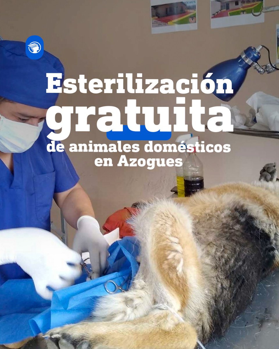 #Azogues I Una campaña de esterilización gratuita de animales domésticos se realizará este fin de semana en el Centro de Cultura Municipal “Vicente Cayamcela”, junto al Parque Infantil. Estos son los horarios: 👉 bit.ly/3RdgJzi