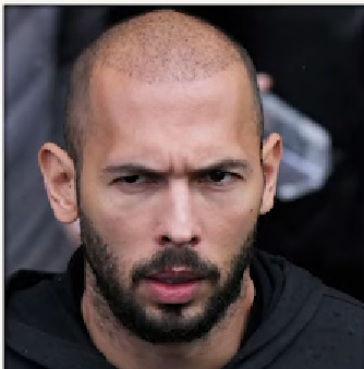 port_sidex's tweet image. #notbalding