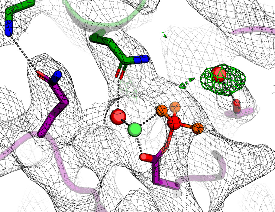 scisignal's tweet image. Using structural, biochemical, and computational approaches, researchers uncover principles that determine phosphoryrl transfer directionality in the #Bsubtulis DesK-DesR #TwoComponentSystem. @felipetraj @IPMontevideo scim.ag/1jd