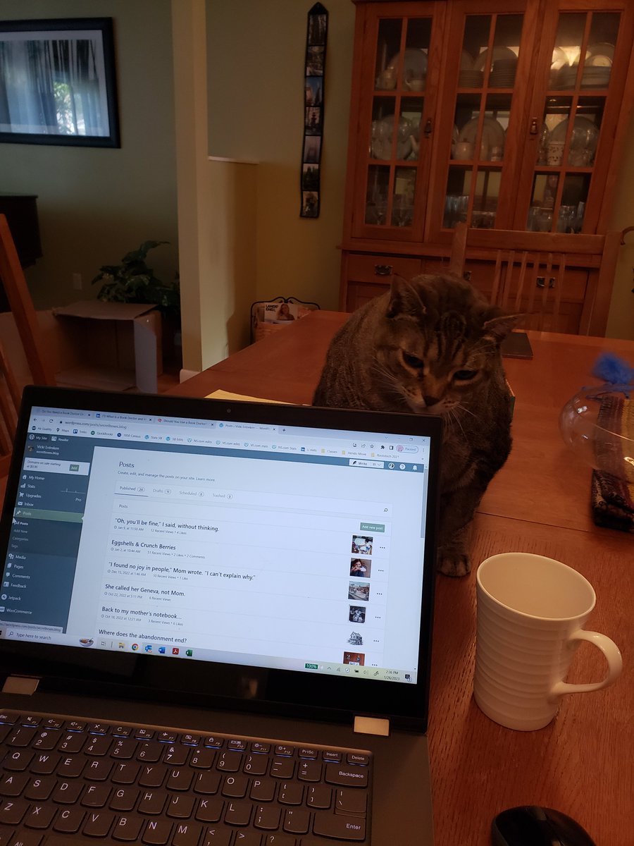 A tip on #writing #memoir:
When working on difficult or emotional scenes, make sure you have a cat 🐈 around, even if it's not yours. 

#amwriting #borrowedcat
#writingishard