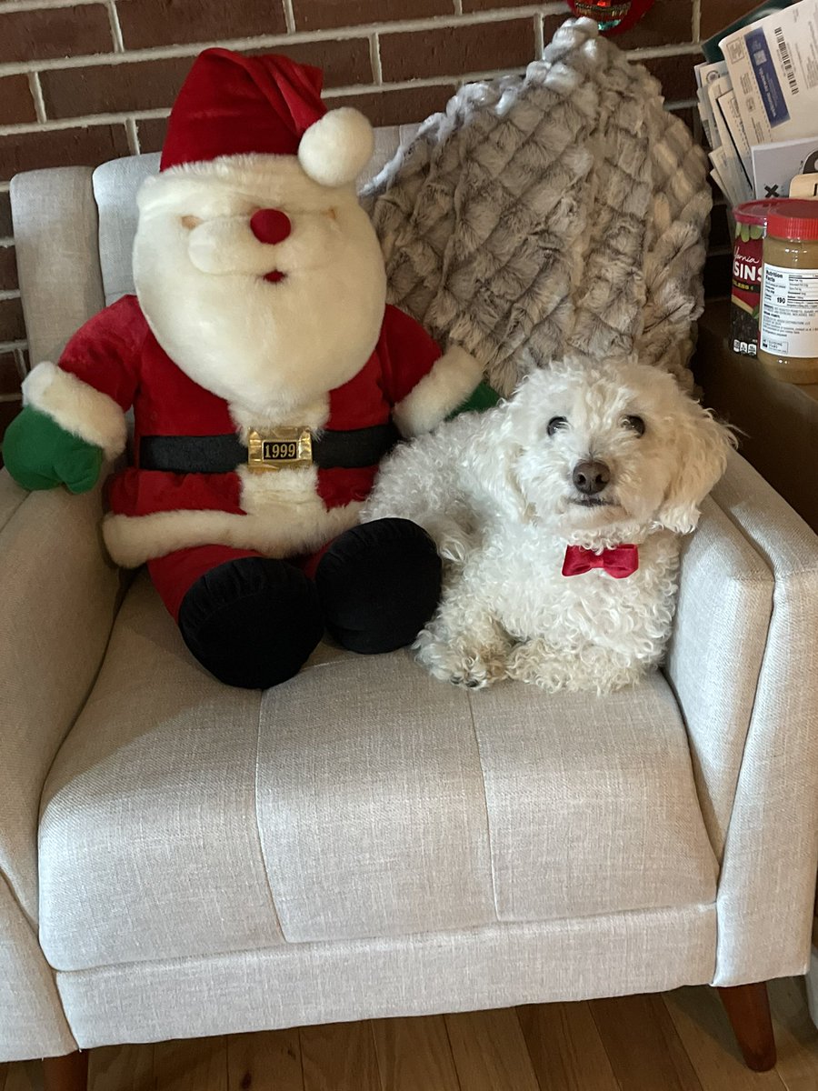 aep15_'s tweet photo. @Chewy https://t.co/B2jCHWax9n