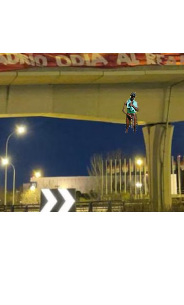 Lamadredeltopo (@totou2000) on Twitter photo 